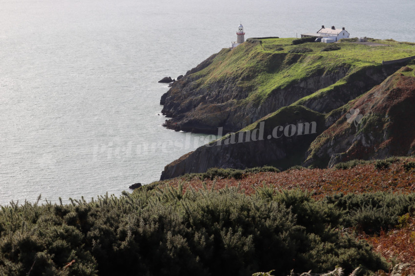 Cliff walks in Howth