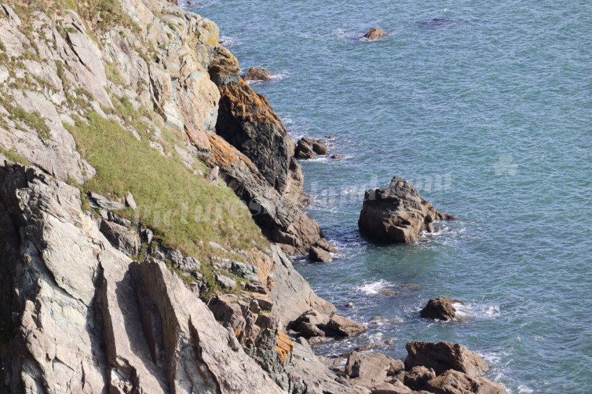 Cliff walks in Howth