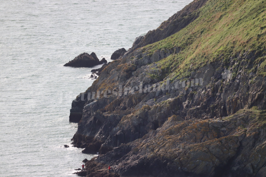 Cliff walks in Howth