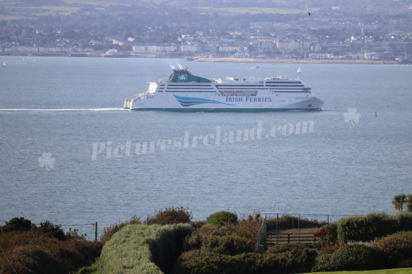 Cliff walks in Howth