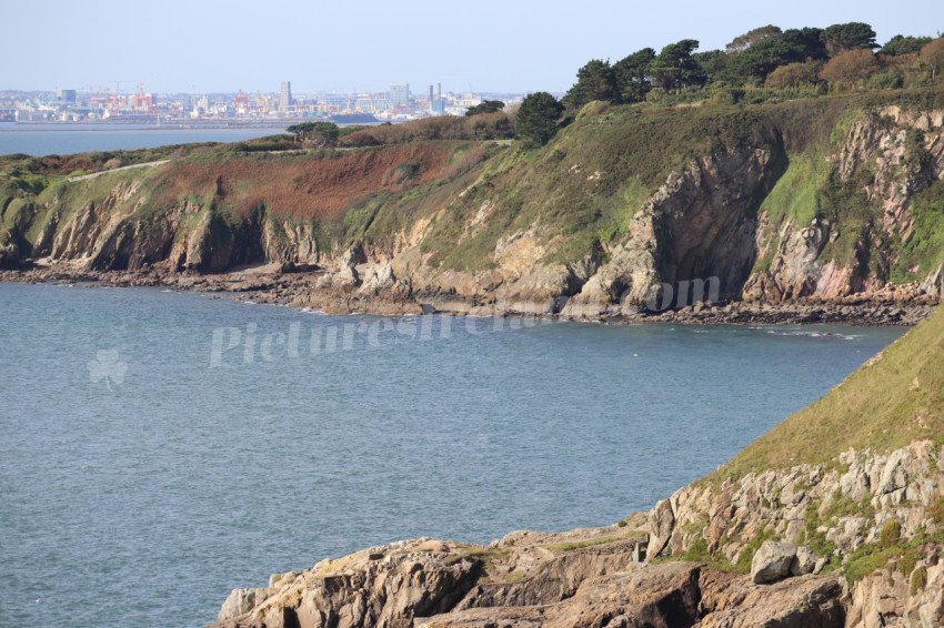 Cliff walks in Howth