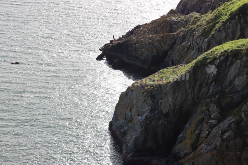 Cliff walks in Howth