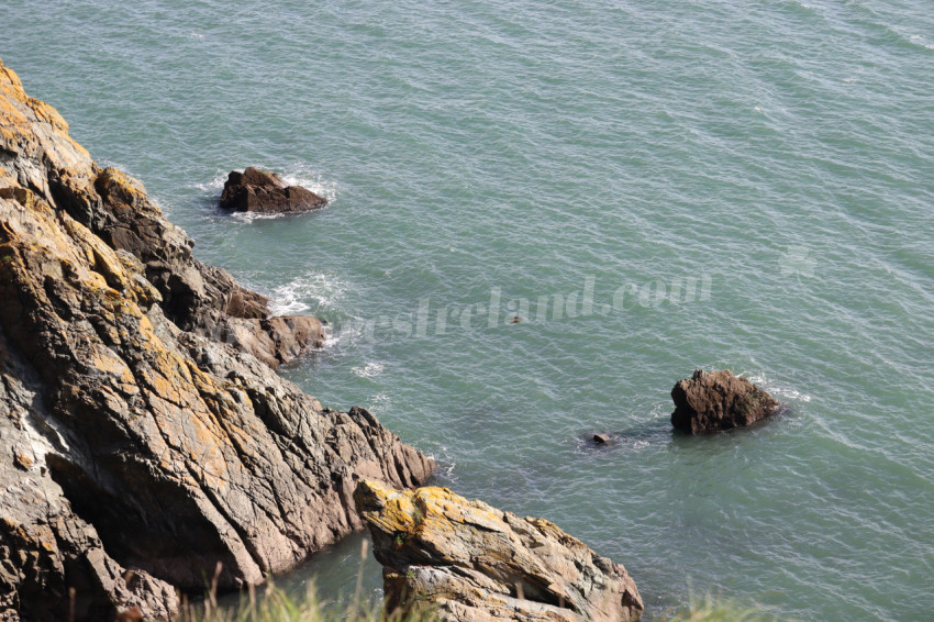 Cliff walks in Howth