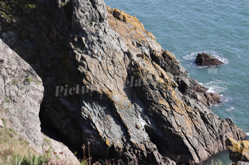 Cliff walks in Howth