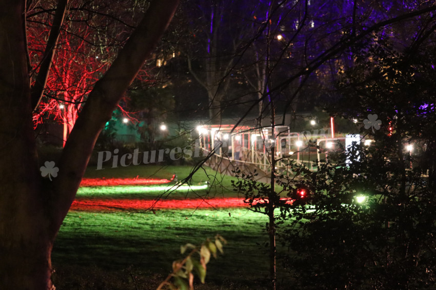 Merrion Square Winter Lights