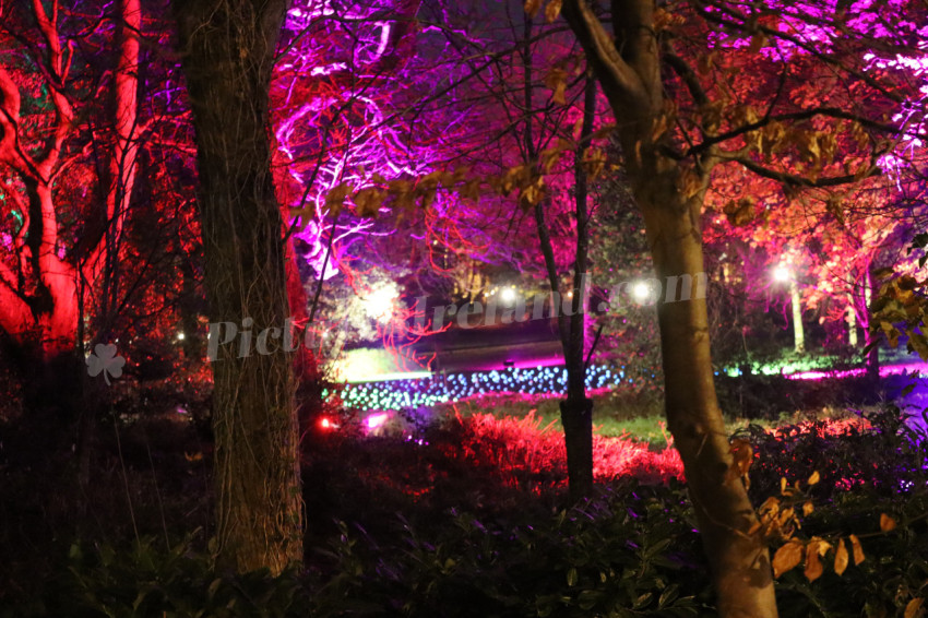 Merrion Square Winter Lights