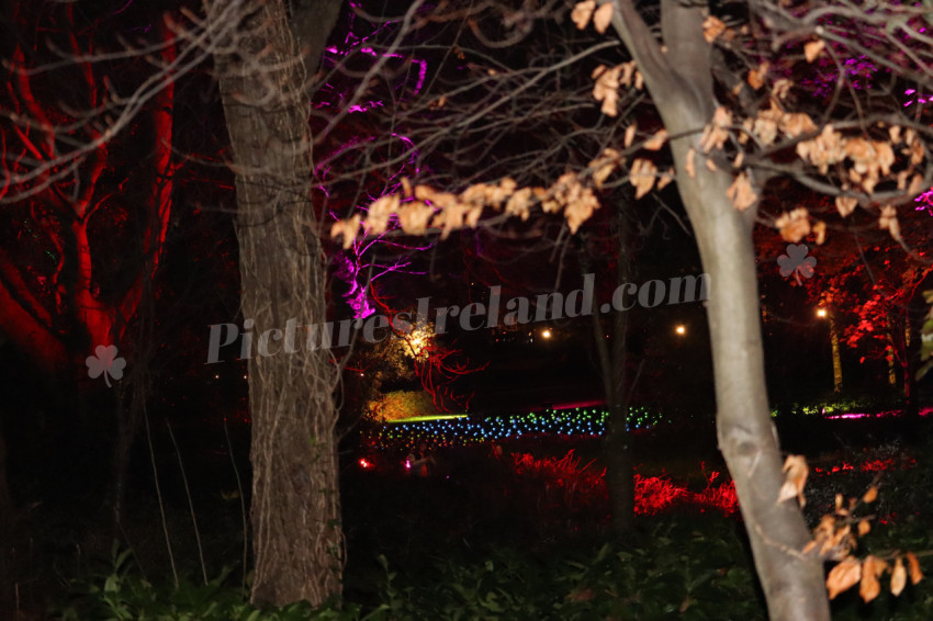 Merrion Square Winter Lights