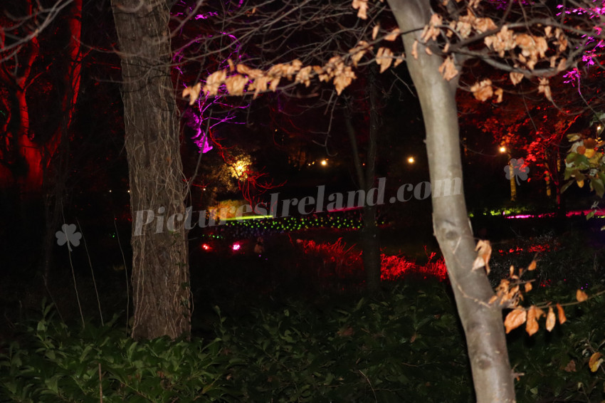 Merrion Square Winter Lights