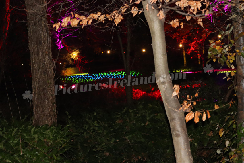 Merrion Square Winter Lights