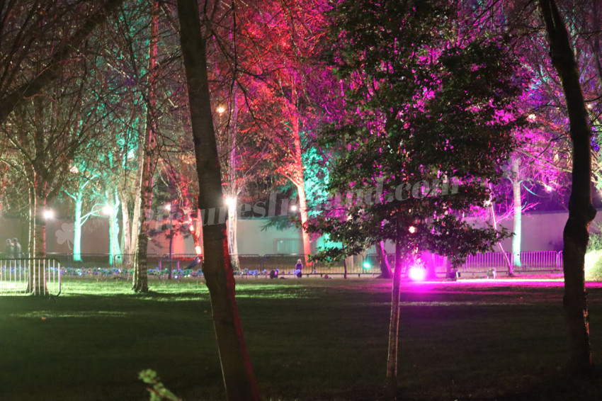 Merrion Square Winter Lights