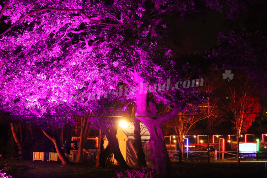Merrion Square Winter Lights