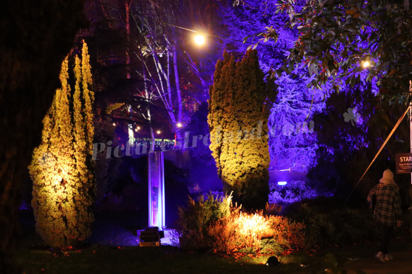 Merrion Square Winter Lights