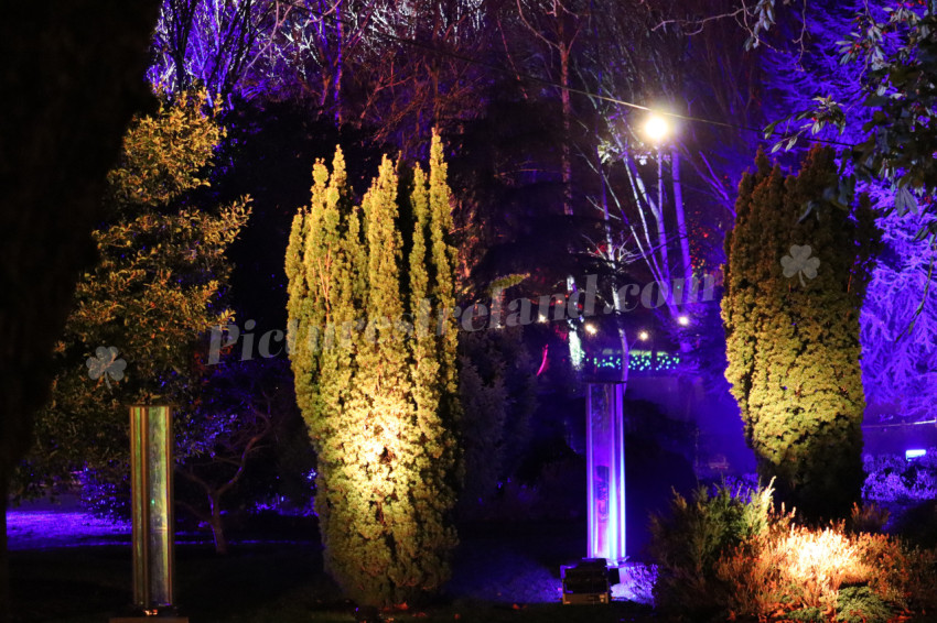Merrion Square Winter Lights
