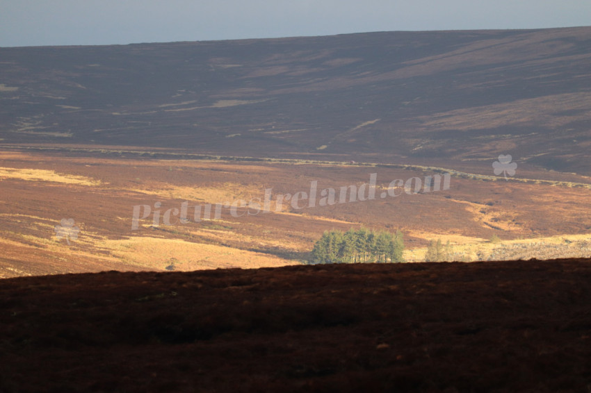 Wicklow Mountains Ireland