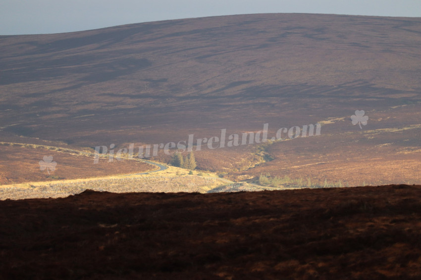 Wicklow Mountains Ireland