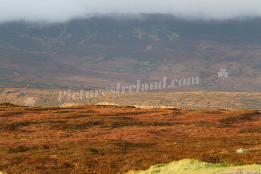 Wicklow Mountains Ireland