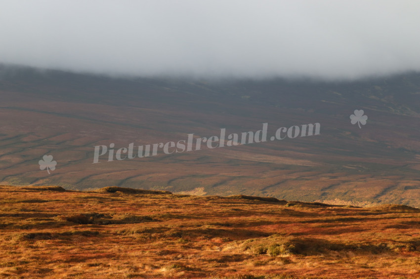 Wicklow Mountains Ireland