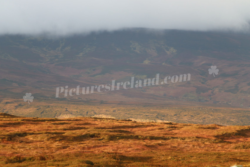Wicklow Mountains Ireland