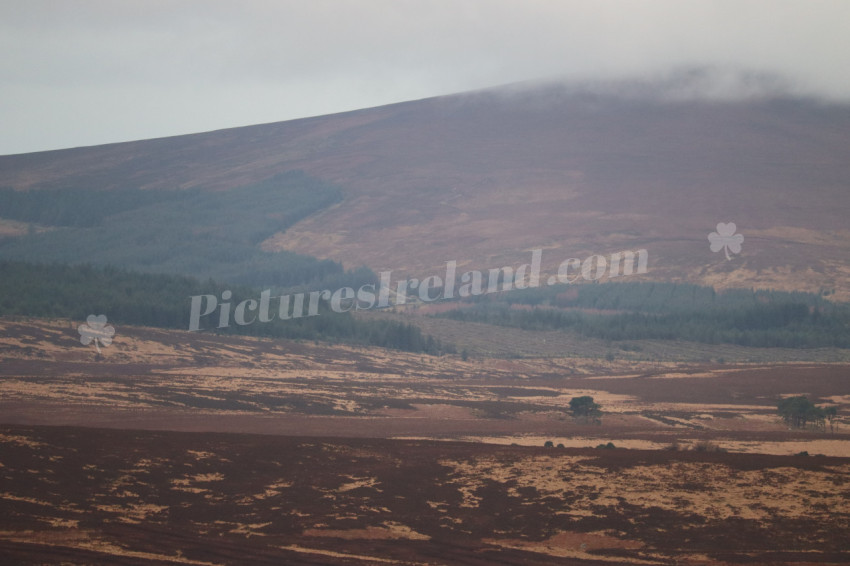 Wicklow Mountains Ireland