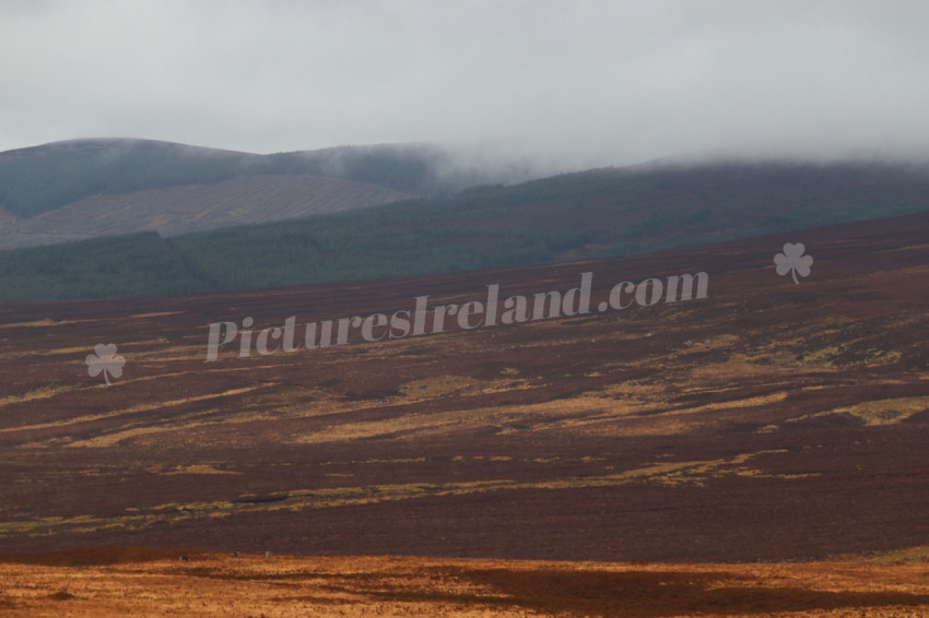 Wicklow Mountains Ireland