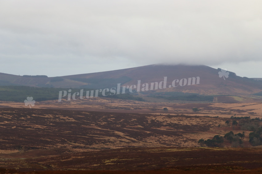 Wicklow Mountains Ireland