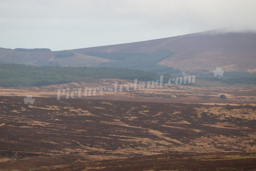 Wicklow Mountains Ireland