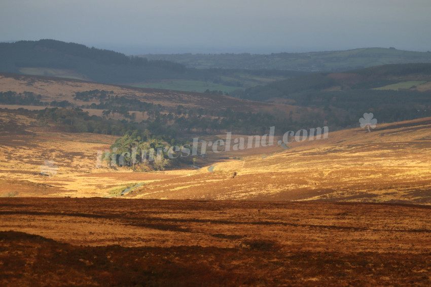 Wicklow Mountains Ireland
