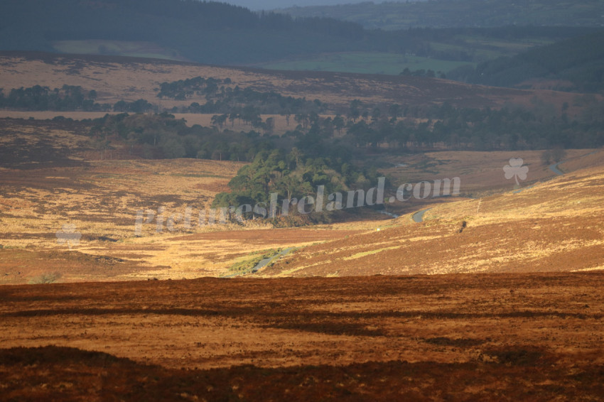 Wicklow Mountains Ireland