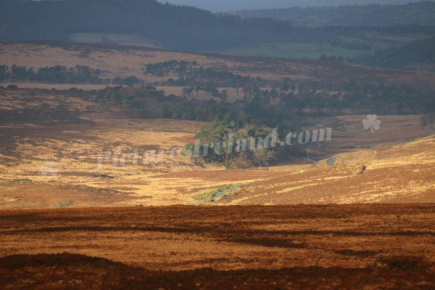 Wicklow Mountains Ireland