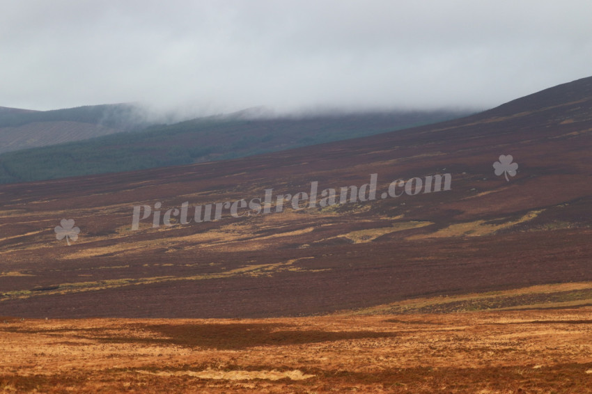 Wicklow Mountains Ireland