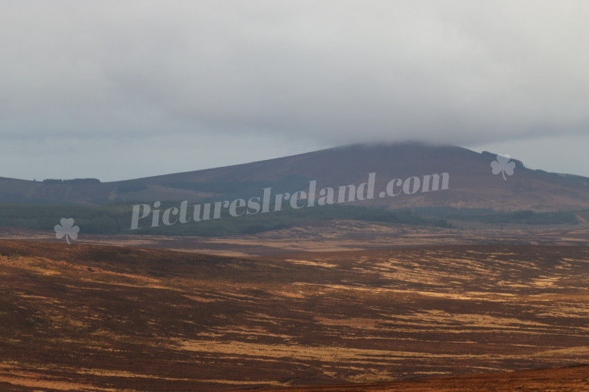 Wicklow Mountains Ireland