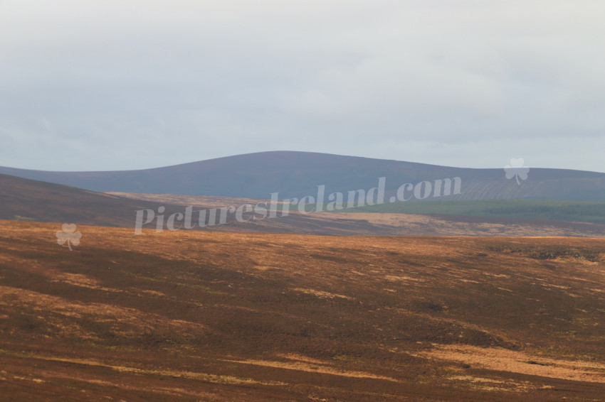 Wicklow Mountains Ireland