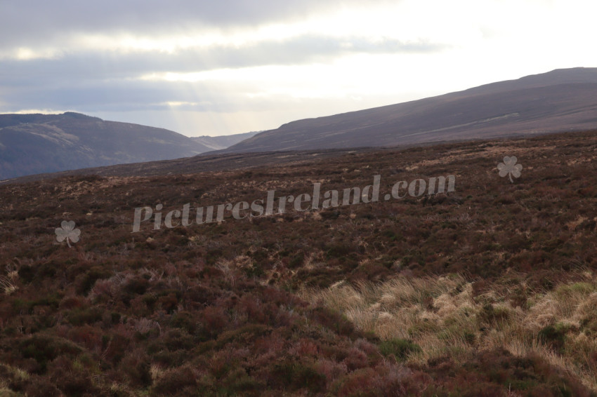 Wicklow Mountains Ireland
