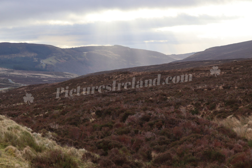 Wicklow Mountains Ireland