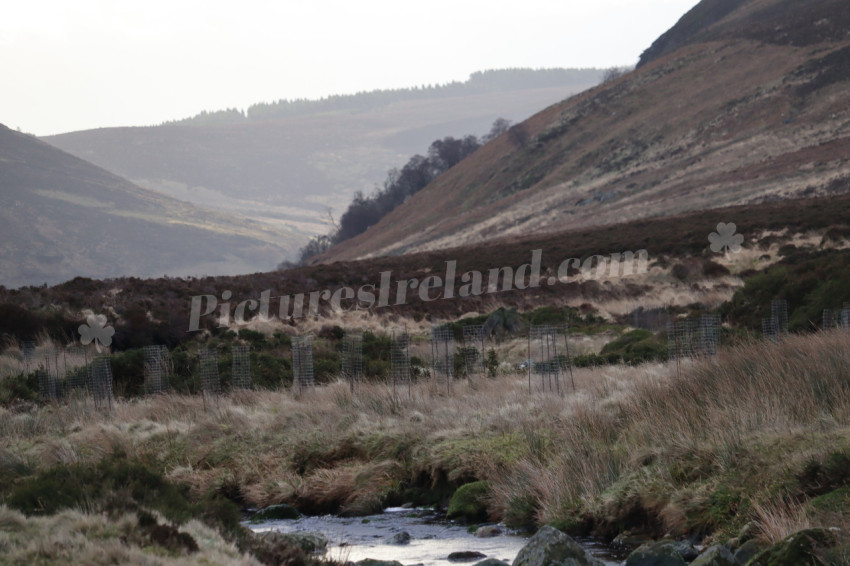 Wicklow Mountains Ireland