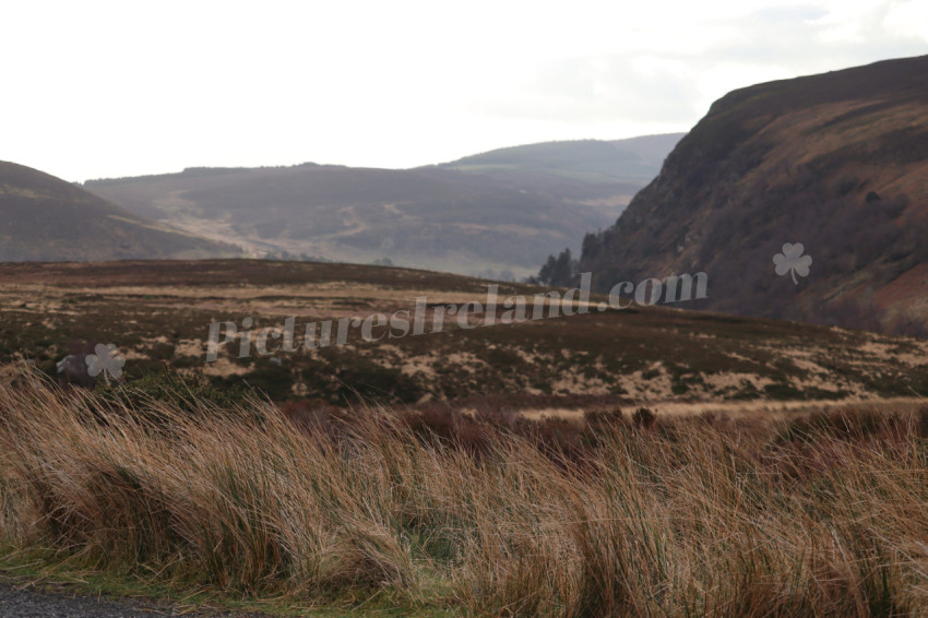 Wicklow Mountains Ireland