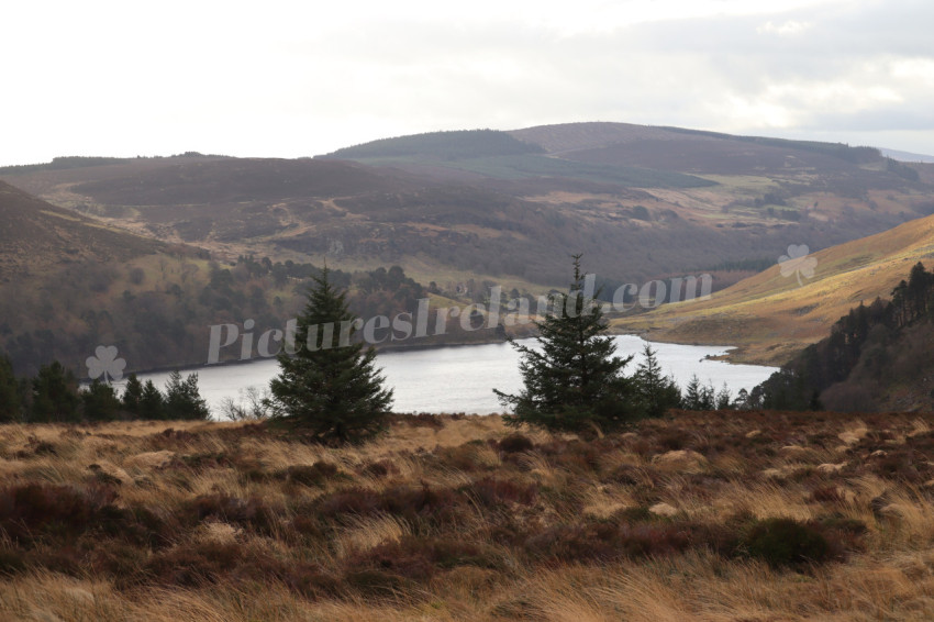 Wicklow Mountains Ireland