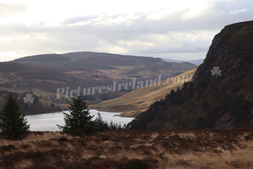Wicklow Mountains Ireland