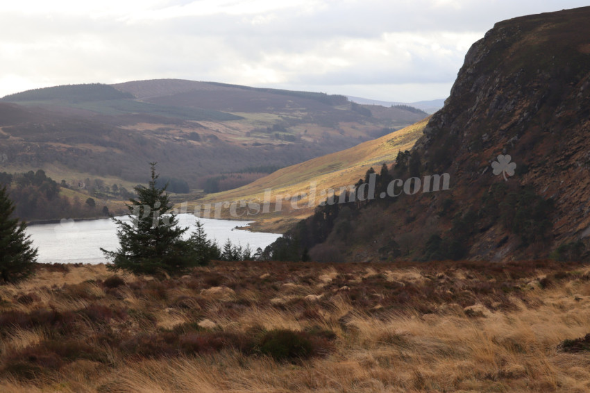 Wicklow Mountains Ireland