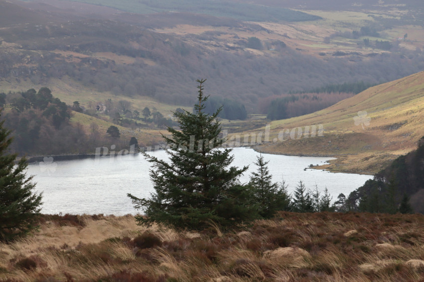 Wicklow Mountains Ireland