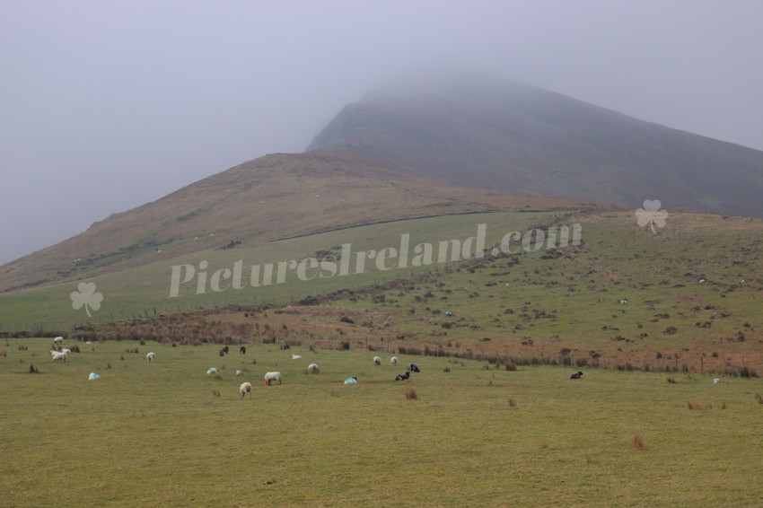 Ring of Kerry Ireland