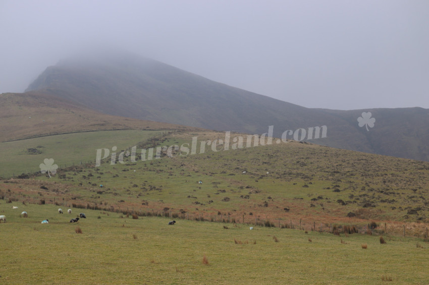 Ring of Kerry Ireland