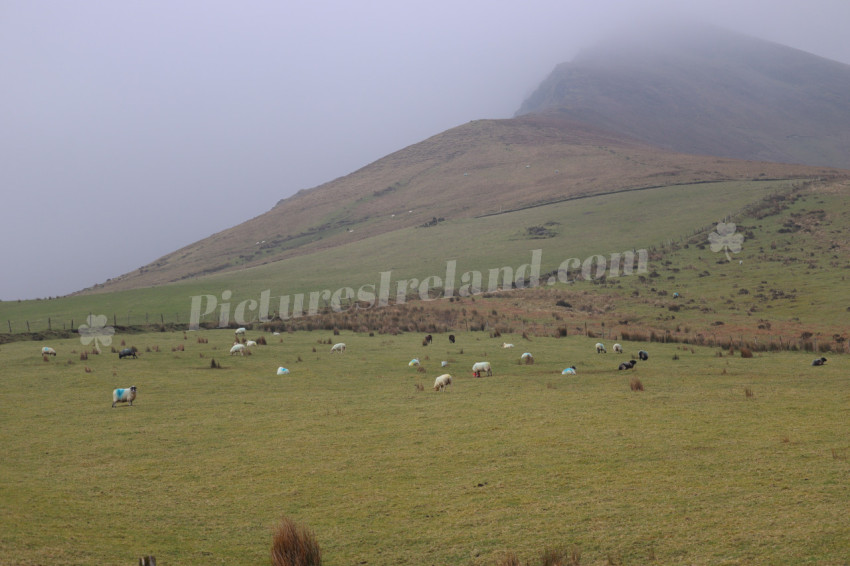 Ring of Kerry Ireland