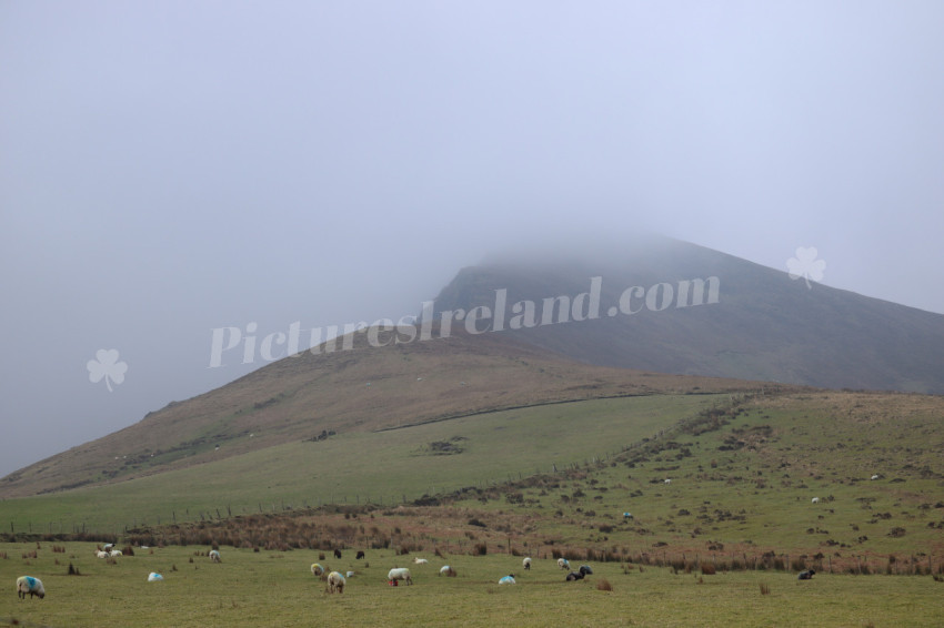 Ring of Kerry Ireland