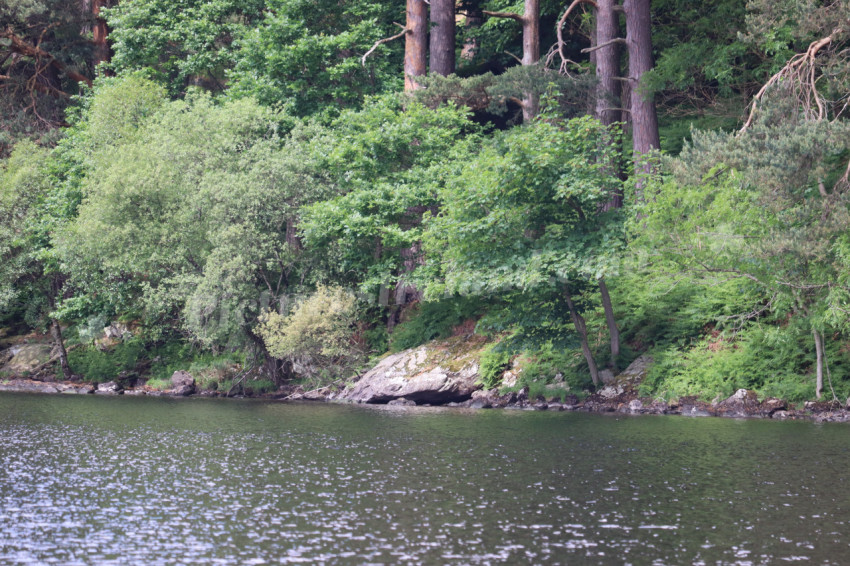 Wicklow Mountains Ireland