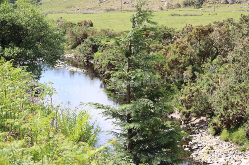 Wicklow Mountains Ireland