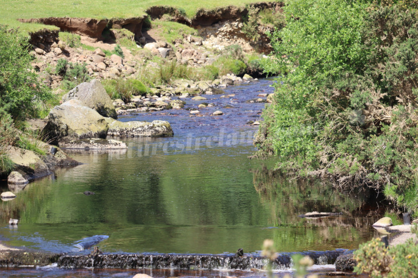 Wicklow Mountains Ireland