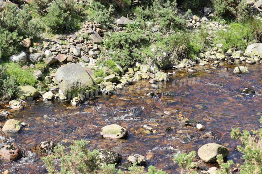 Wicklow Mountains Ireland