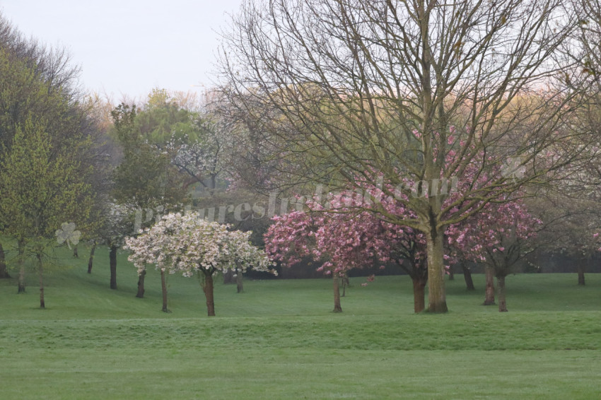 Irish National War Memorial Gardens