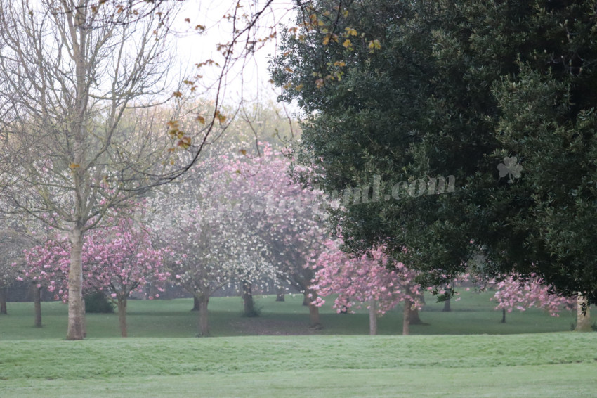 Irish National War Memorial Gardens